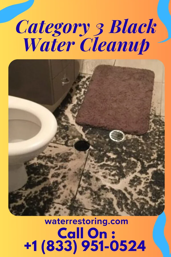 Category 3 Black Water Cleanup in Riverdale, IL