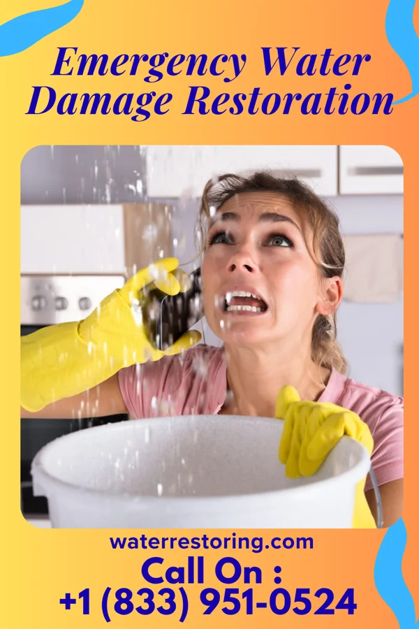 Emergency Water Damage Restoration in Riverdale, IL