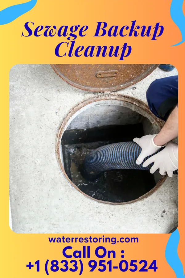 Sewage Backup Cleanup in Riverdale, IL
