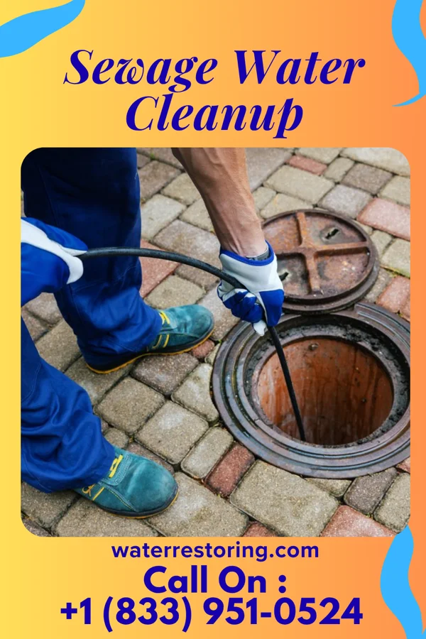 Sewage Water Cleanup in Riverdale, IL