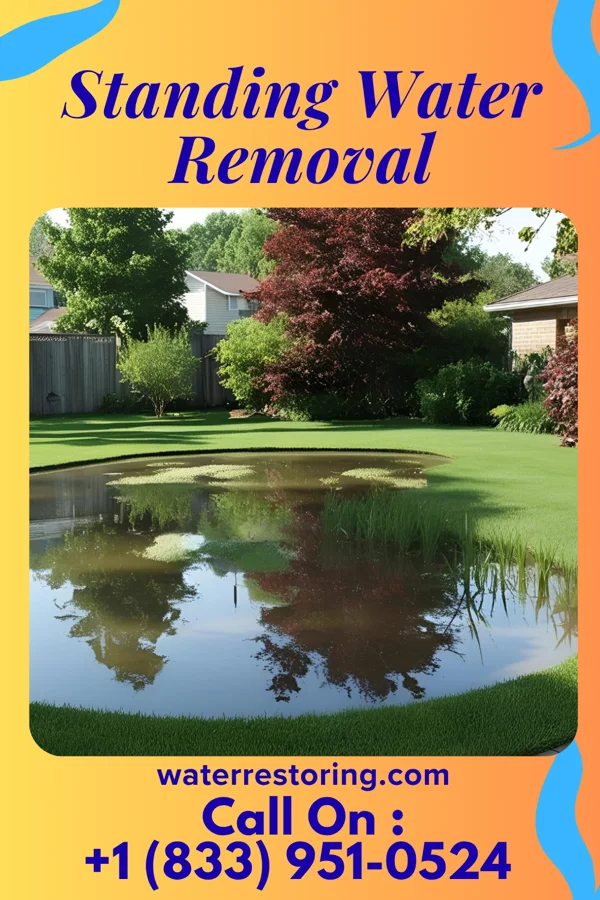Standing Water Removal in Riverdale, IL